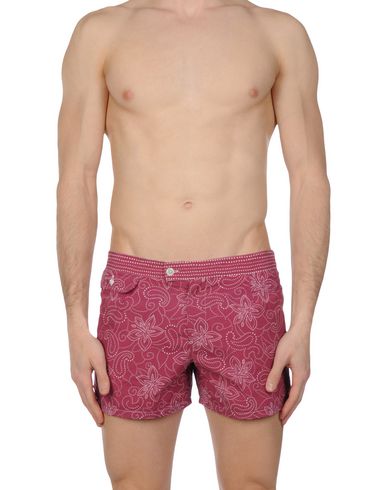ZOOM MOSAIQUE - Boxer mare