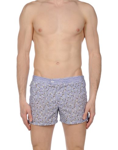 ZOOM MOSAIQUE - Boxer mare