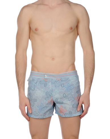 ZOOM MOSAIQUE - Boxer mare
