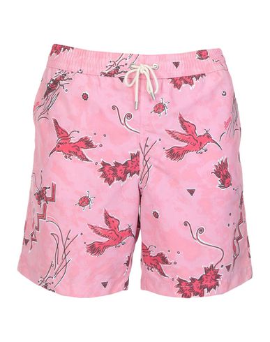 ZOOM LOEWE - Boxer mare
