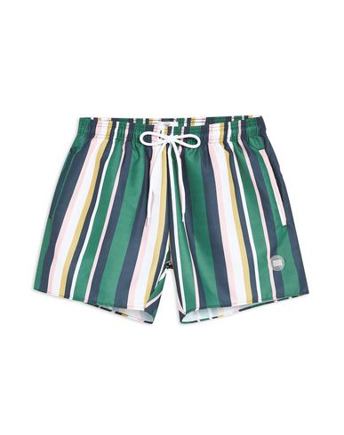 ZOOM TOPMAN - Boxer mare