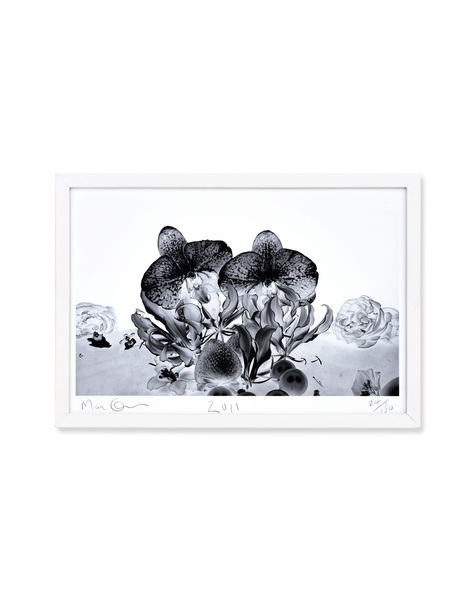 Marc Quinn Under The Ocean   Print   Women Marc Quinn Prints   58009854KP