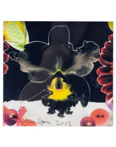 ZOOM MARC QUINN - Edition