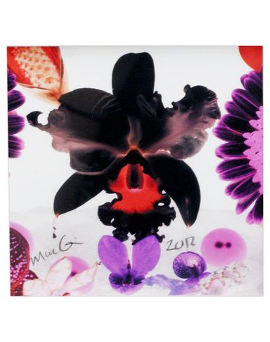 ZOOM MARC QUINN - Edition