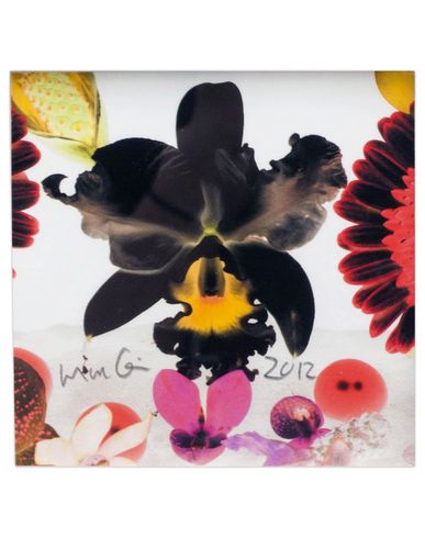 ZOOM MARC QUINN - Edition