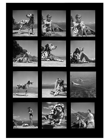 ZOOM MAGNUM PHOTOS - Photography