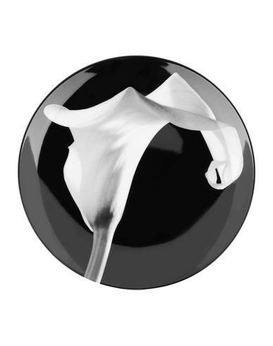 ZOOM LIGNE BLANCHE - Art object